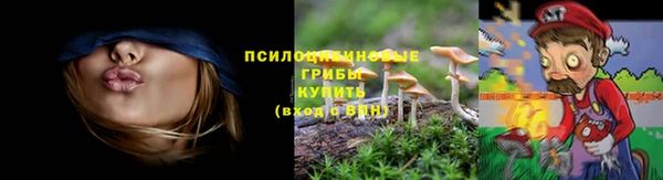 каннабис Абаза
