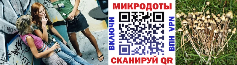 как найти   Отрадное  hydra как зайти  Псилоцибиновые грибы Psilocybine cubensis 