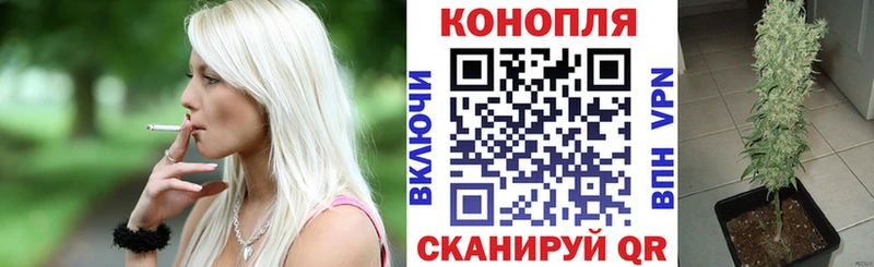 Канабис семена  как найти закладки  omg онион  Отрадное 