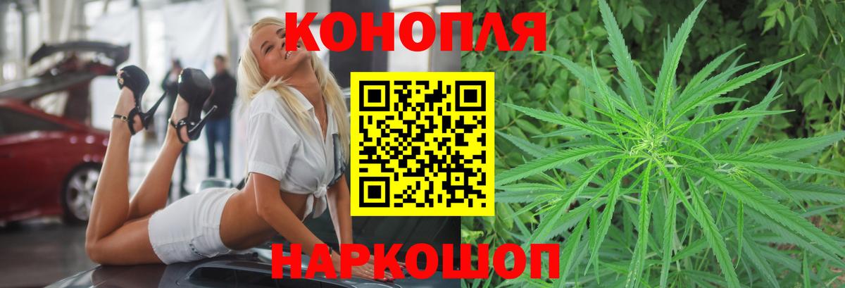 Бошки марихуана план Отрадное